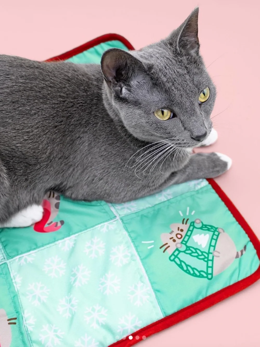 Pusheen Holiday Cat Play Mat - Mint Green with Red Trim